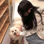 骑士的魔法战争bt版下载